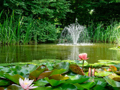teich belüfting pond aeration solar pumpe