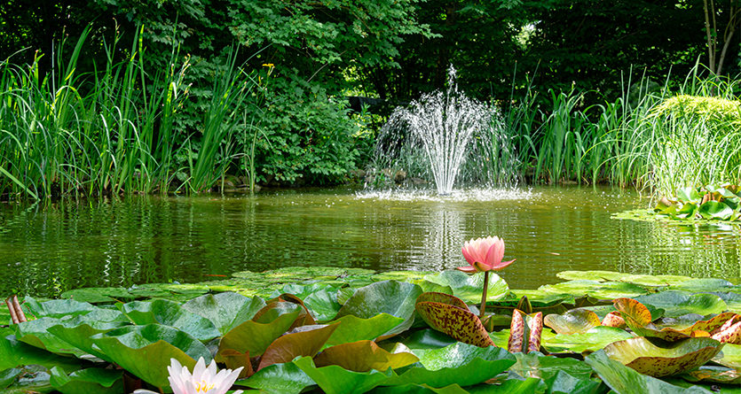 teich belüfting pond aeration solar pumpe