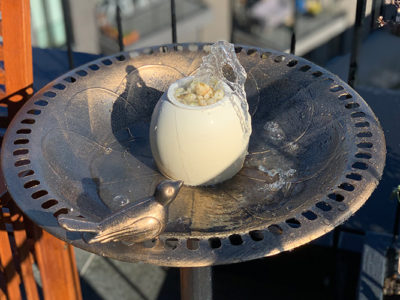 solar betriebene vogeltränke solar powered bird bath